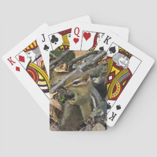 Östliches Streifenhörnchen - Tamias striatus Spielkarten