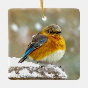 Ostösterliche Blaumeise im Schnee - Originalfotogr Keramikornament