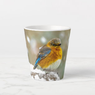 Ostösterliche Blaumeise im Schnee - Originalfotogr Milchtasse