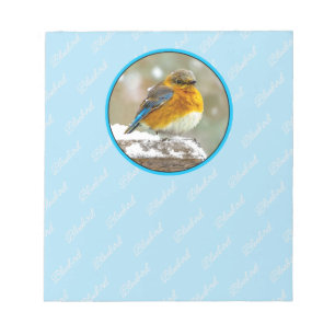Ostösterliche Blaumeise im Schnee - Originalfotogr Notizblock