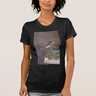 OstPhoebe mit Jungen T-Shirt