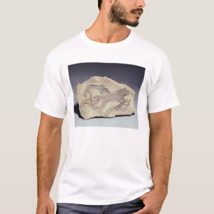 Ostracon, das einen Hund jagt eine Hyäne darstell T-Shirt