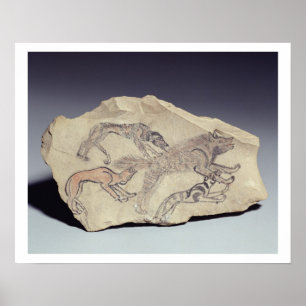 Ostracon, das einen Hund jagt eine Hyäne darstellt Poster