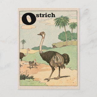 Ostrich Alphabet Letter Postkarte