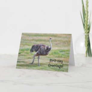 Ostrich Art Bird Niedlich Puppe Geburtstagskarte Karte