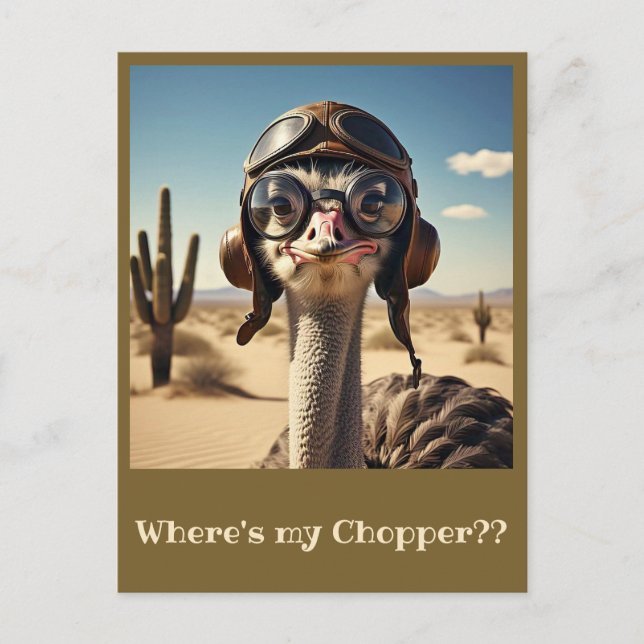 " OSTRICH AVIATOR " POSTKARTE (Vorderseite)