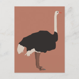 Ostrich Bird Illustration Feiertagspostkarte