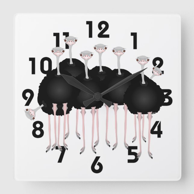 Ostrich Clock Quadratische Wanduhr (Vorderseite)