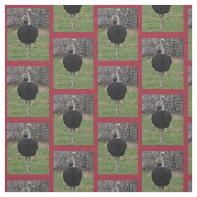 Ostrich Fabric Stoff (Muster)