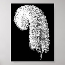 Ostrich Feather Print Poster