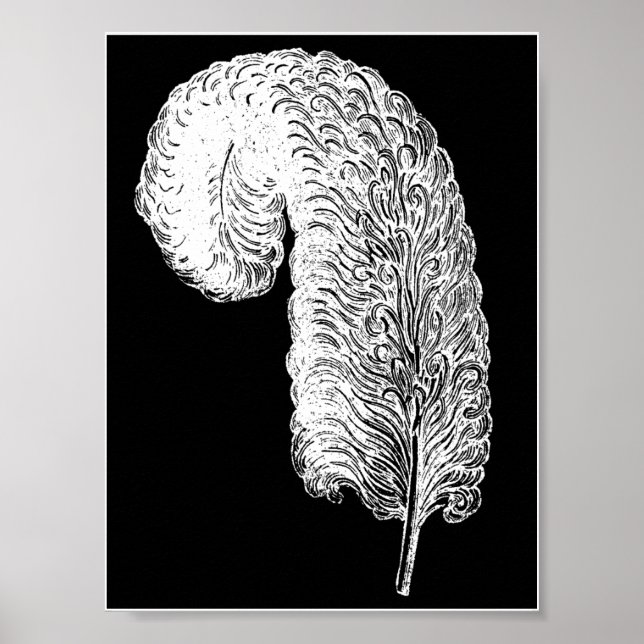 Ostrich Feather Print Poster (Vorne)