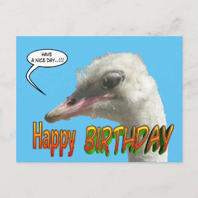 Ostrich Happy Birthday individualisierbare Postkar Postkarte (Vorderseite)