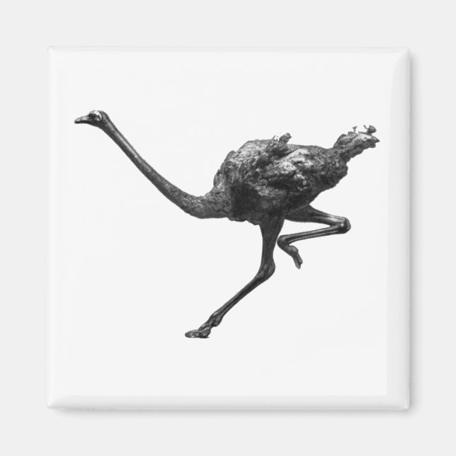 Ostrich läuft Coole Sportart Magnet (Vorne)
