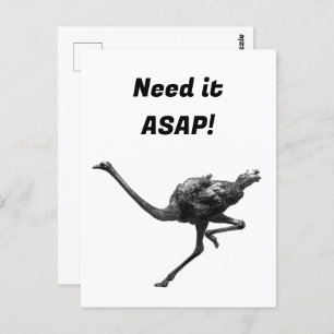 Ostrich läuft Coole Sportart Postkarte