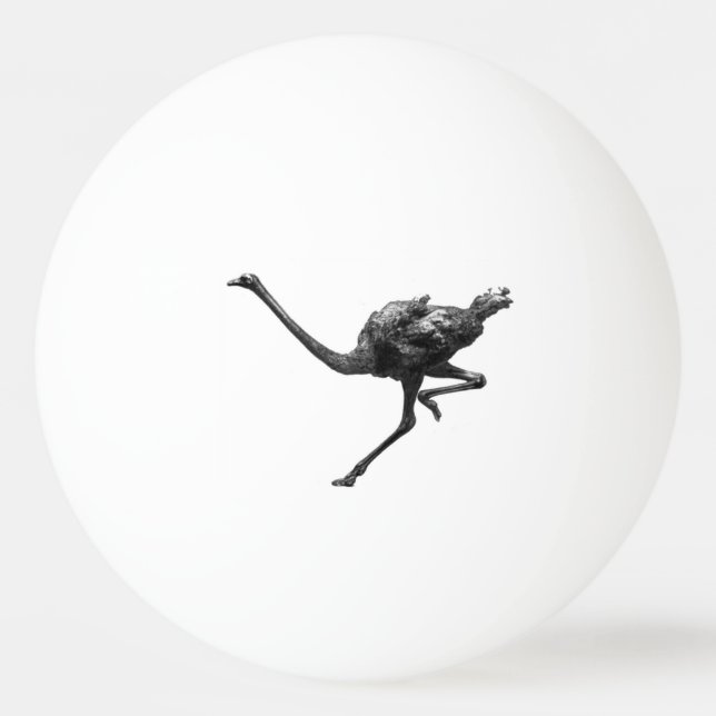 Ostrich läuft Coole Sportart Tischtennisball (Vorderseite)