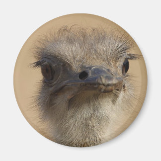 Ostrich Magnet