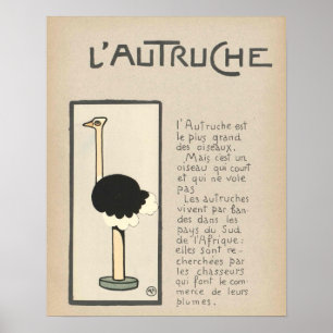 Ostrich Poster