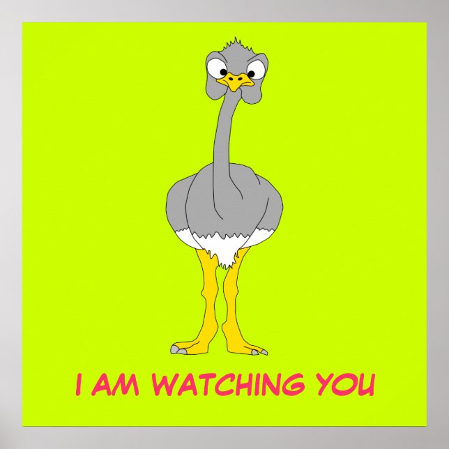 Ostrich Poster (Vorne)
