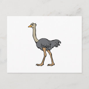 Ostrich Postkarte