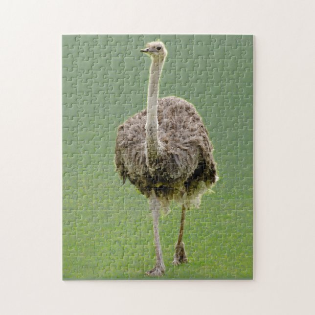 Ostrich Puzzle (Vertikal)