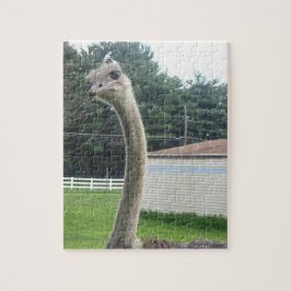 Ostrich Puzzle