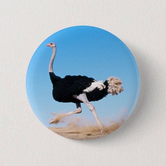 Ostrich Running Button (Vorderseite)