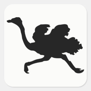 Ostrich-Silhouette Quadratischer Aufkleber