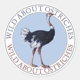 Ostrich Stickers