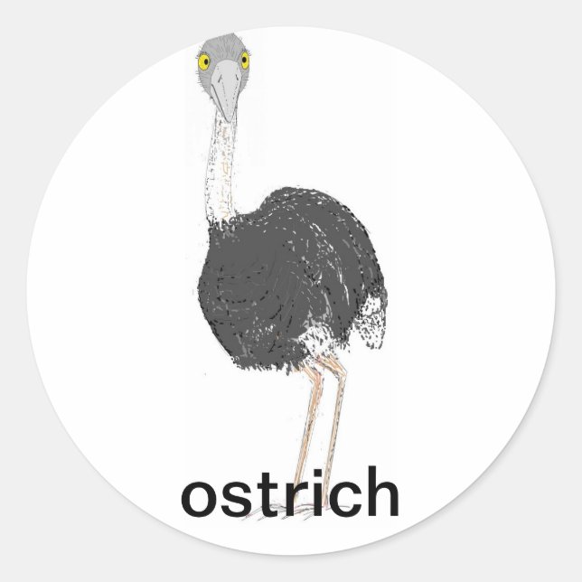 Ostrich Stickers (Vorderseite)