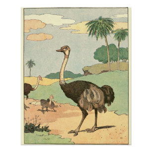 Ostrich Storybook Zeichnend Poster