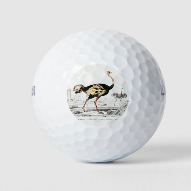 Ostrich Struthio Leuchtlose Illustration Golfball (Vorderseite)