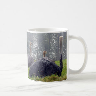 Ostrich-Tasse Tasse