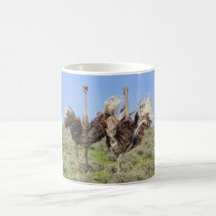 Ostriche vogel Kaffee Tasse