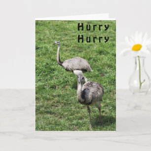OSTRICHES SAGT GLÜCKLICH **APRIL BIRTHDAY** CARD KARTE
