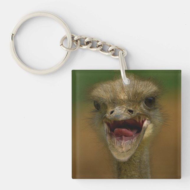 Ostrich's Embrace Schlüsselanhänger (Vorderseite)