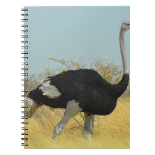 Ostrige für einen Run Notizblock