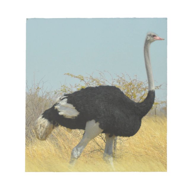 Ostrige für einen Run Notizblock (Vorderseite)