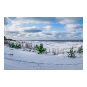 Ostseeküste im Winter schneebedeckt Poster