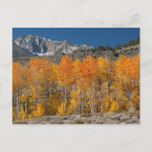 Ostsierra Herbstfarben Postkarte