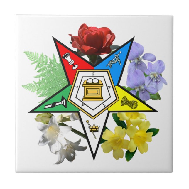 Oststern-Blumenfliese Fliese (Vorderseite)