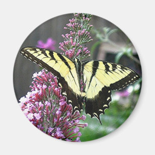 OSTtiger-FRACK-Magnet Magnet