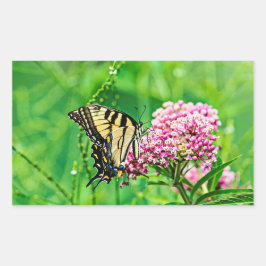 Osttiger-Frack-Schmetterling Rechteckiger Aufkleber
