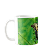 Osttiger-Frack-Schmetterling