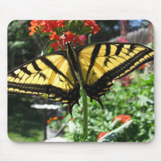 Osttiger-Frack-Schmetterlings-Mausunterlage Mousepad