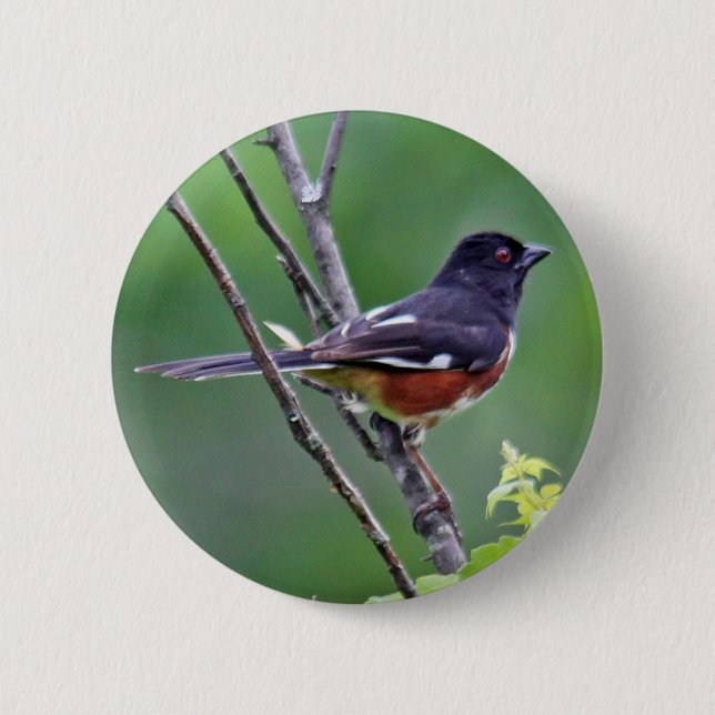 Osttowhee-Knopf Button (Vorderseite)