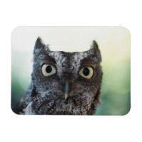 Ostueckenportrait mit großen Augen