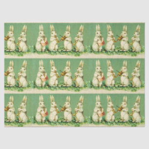 OSTWEISS RABBIT ORCHESTRA Musik Kaninchen machen Seidenpapier