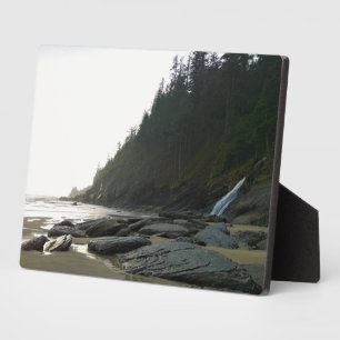 Oswald West State Park Oregon Coast Fotoplatte