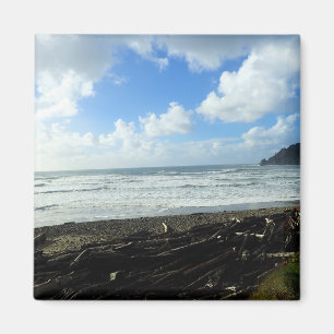 Oswald West State Park Oregon Coast Magnet