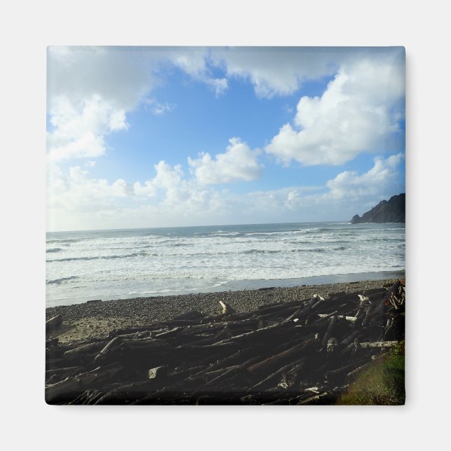 Oswald West State Park Oregon Coast Magnet (Vorne)